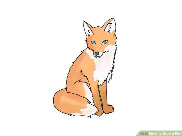 Image intitulée Dessiner un Renard à l